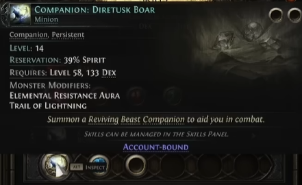 companion gem